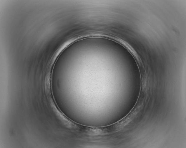 X0000110730911200906191523