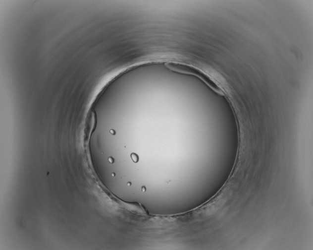 X0000110730912200906191523