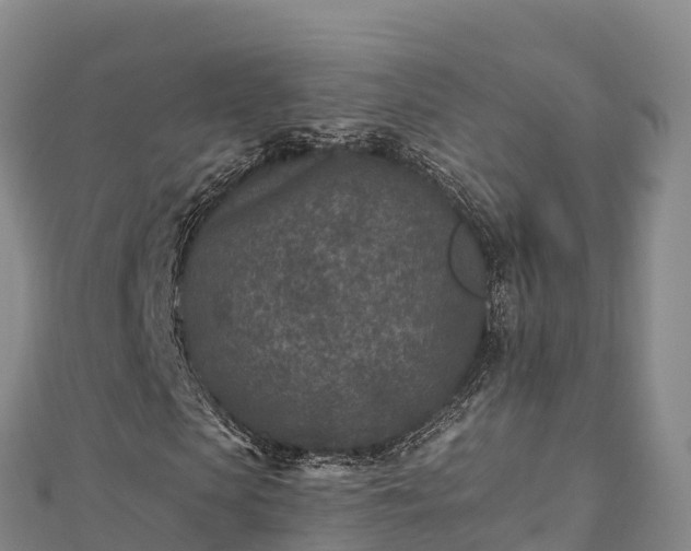 X0000110730913200906191523