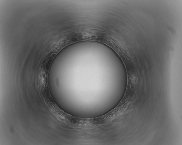 X0000110730914200906191523