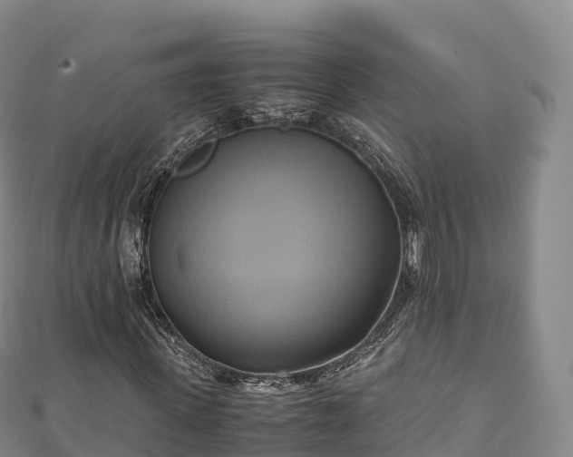 X0000110730915200906191523