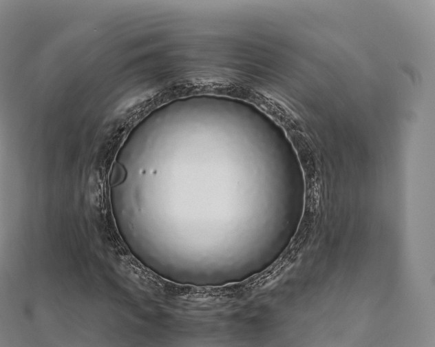 X0000110730917200906191523