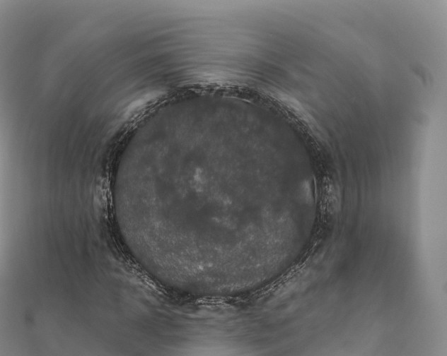 X0000110730918200906191523