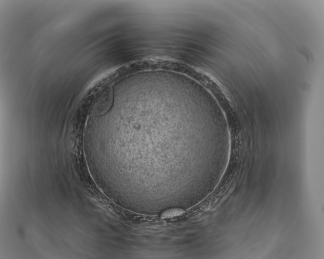 X0000110730919200906191523