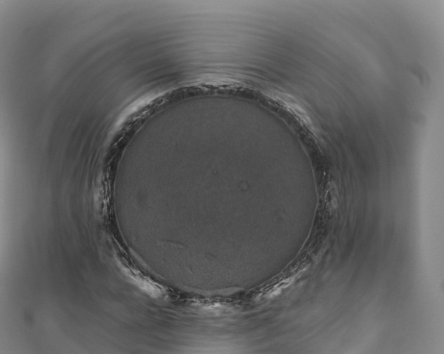 X0000110730920200906191523