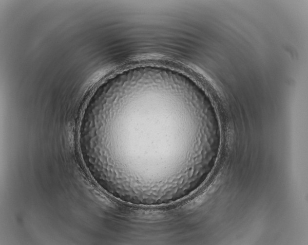 X0000110730921200906191523