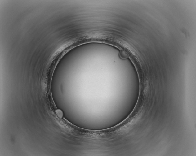 X0000110730922200906191523