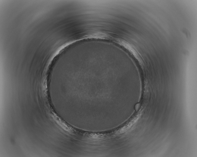 X0000110730923200906191523