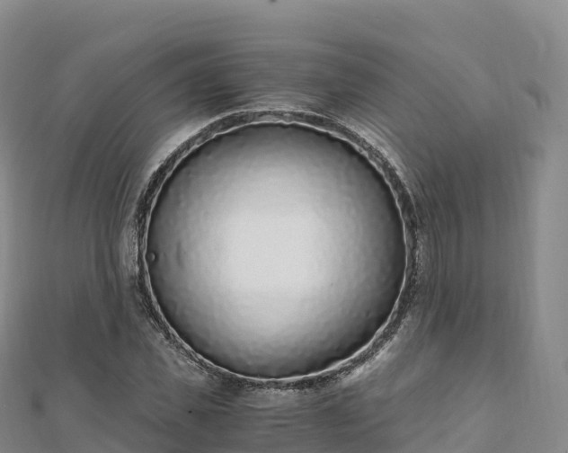 X0000110730925200906191523