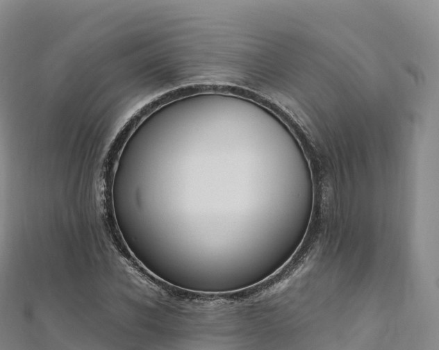 X0000110730926200906191523