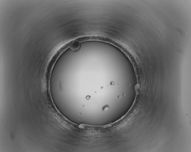 X0000110730927200906191523