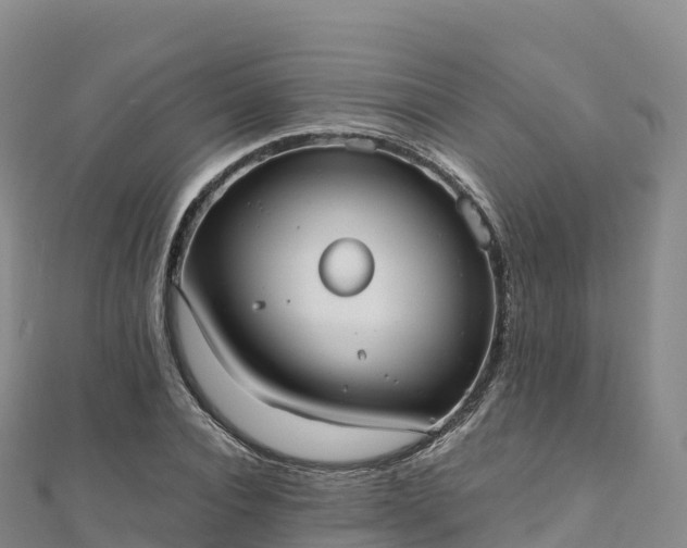 X0000110730928200906191523