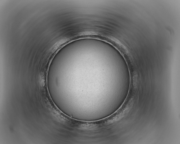 X0000110730929200906191523