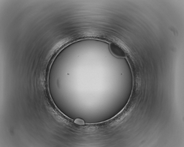 X0000110730930200906191523