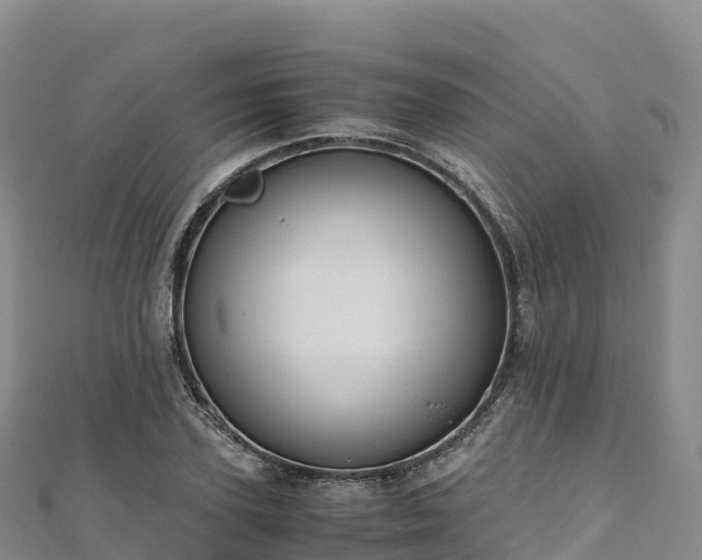 X0000110730931200906191523