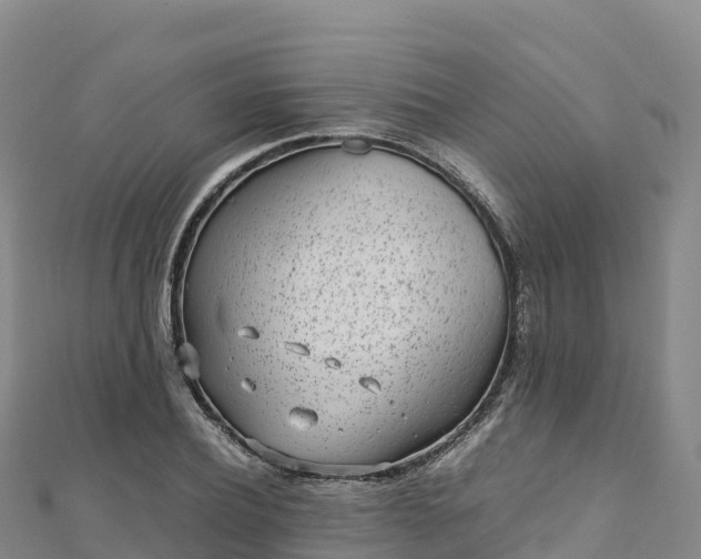 X0000110730932200906191523