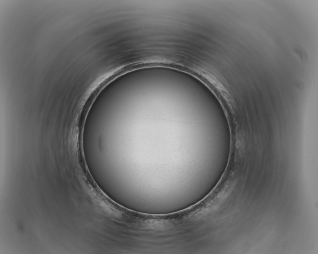 X0000110730933200906191523