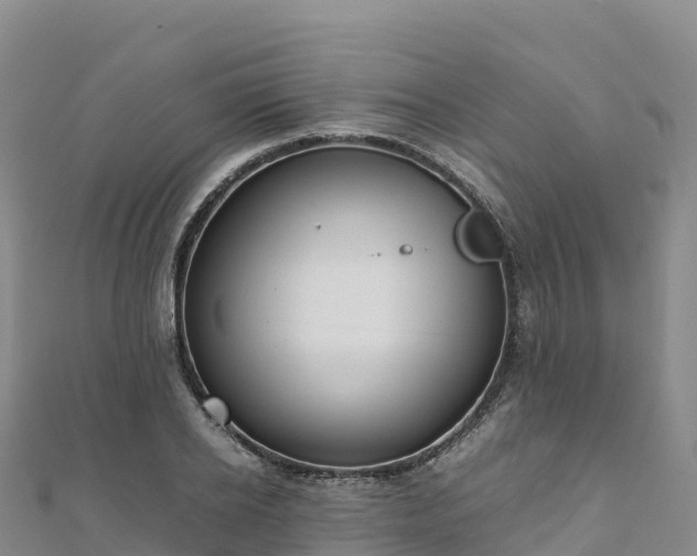 X0000110730934200906191523