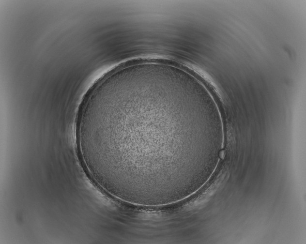 X0000110730935200906191523