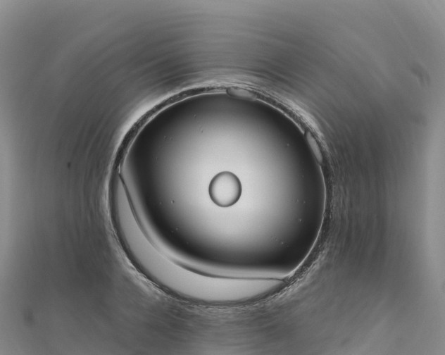 X0000110730936200906191523