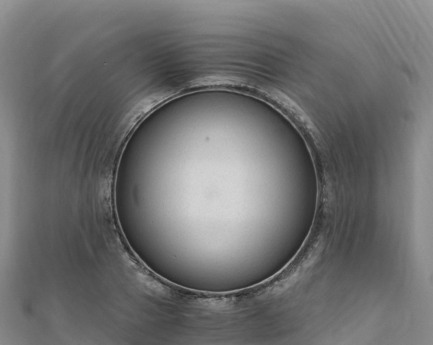 X0000110730937200906191523