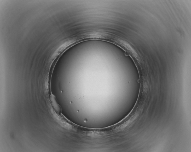 X0000110730938200906191523