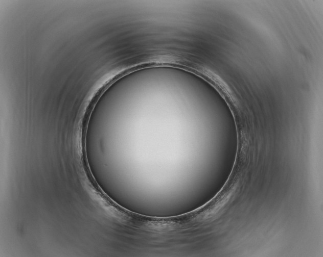 X0000110730939200906191523