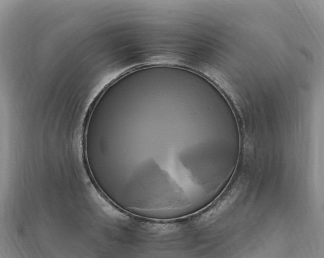 X0000110730941200906191523