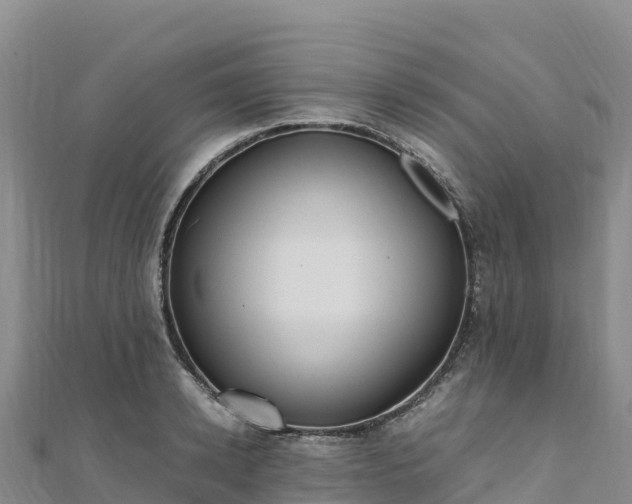 X0000110730942200906191523