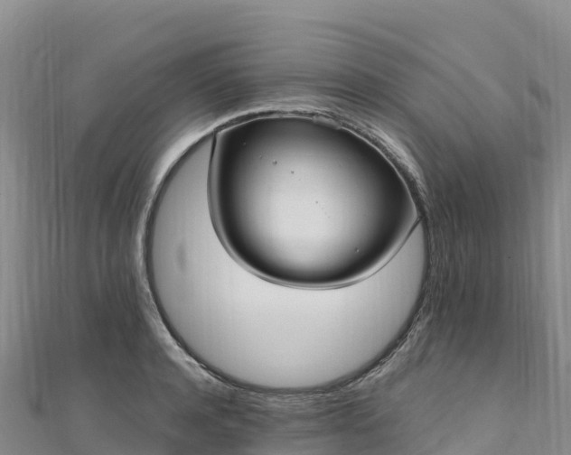 X0000110730944200906191523