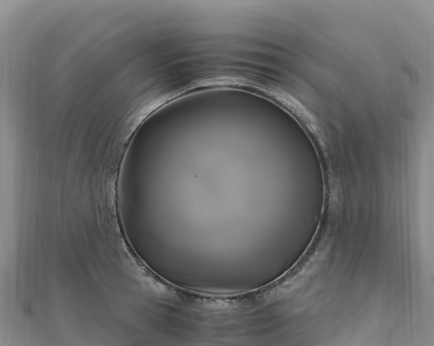 X0000110730945200906191523