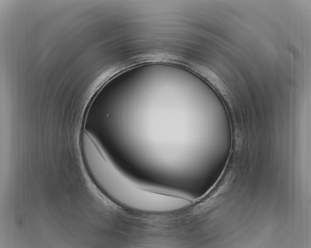 X0000110730946200906191523