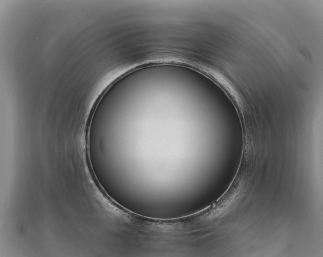 X0000110730951200906191523