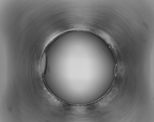 X0000110730952200906191523