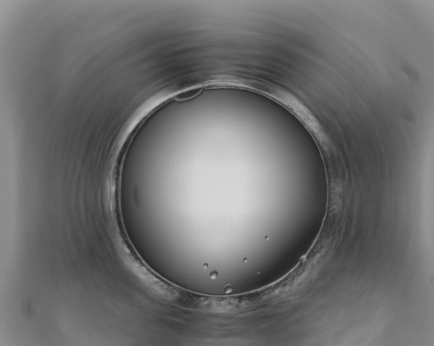 X0000110730955200906191523