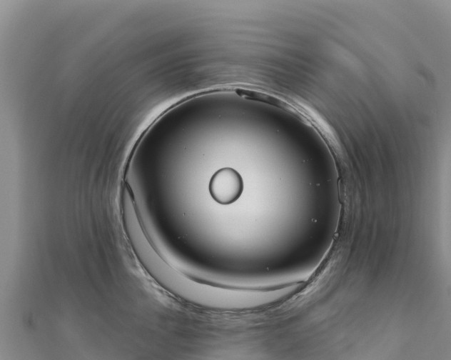 X0000110730956200906191523