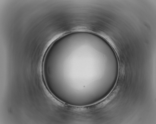 X0000110730957200906191523