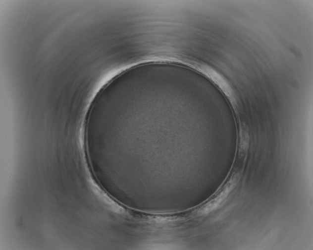 X0000110730958200906191523