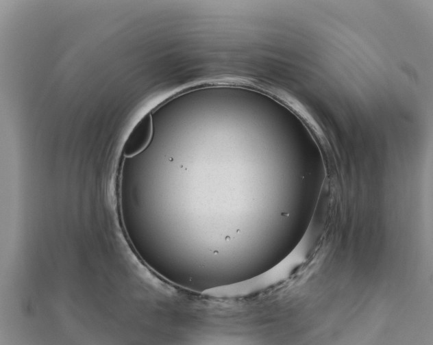 X0000110730959200906191523