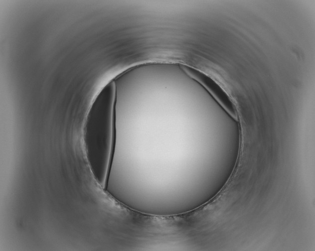 X0000110730960200906191523