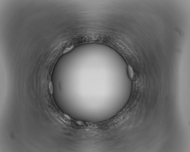 X0000110730961200906191523