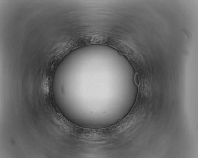 X0000110730962200906191523