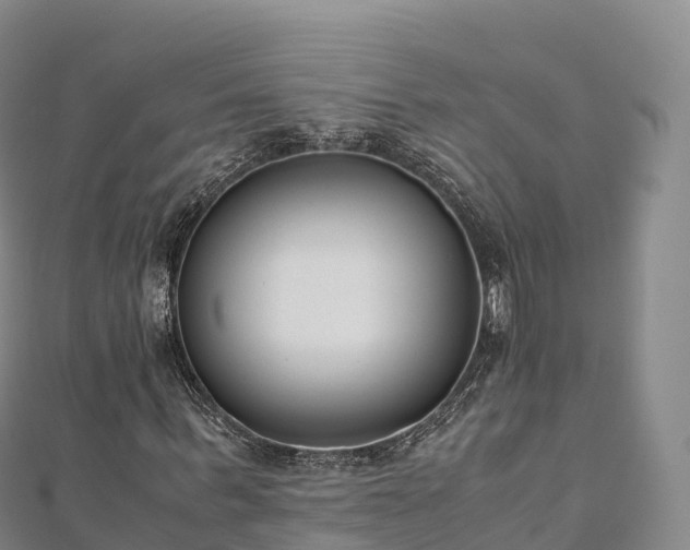 X0000110730963200906191523