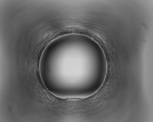 X0000110730965200906191523