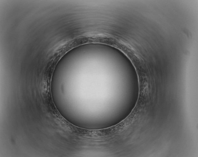 X0000110730966200906191523