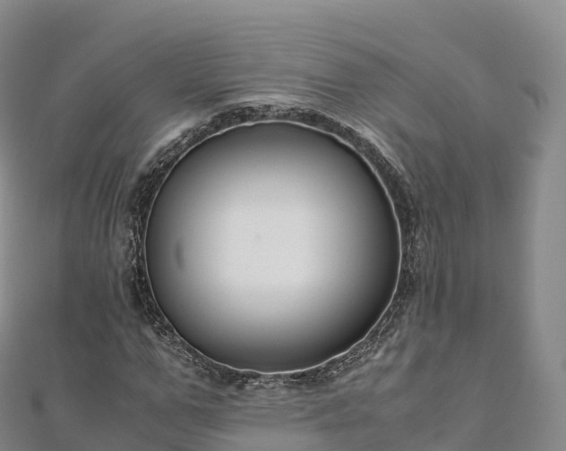 X0000110730967200906191523