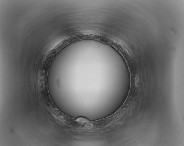 X0000110730968200906191523