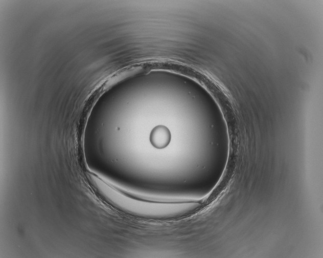 X0000110730969200906191522