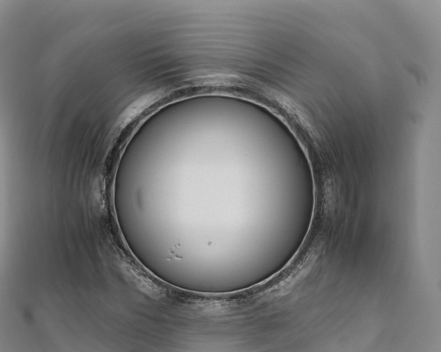 X0000110730970200906191522