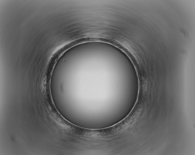 X0000110730971200906191522